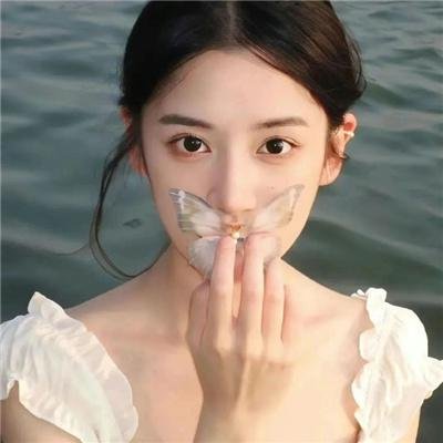 狐狸躲进洞
